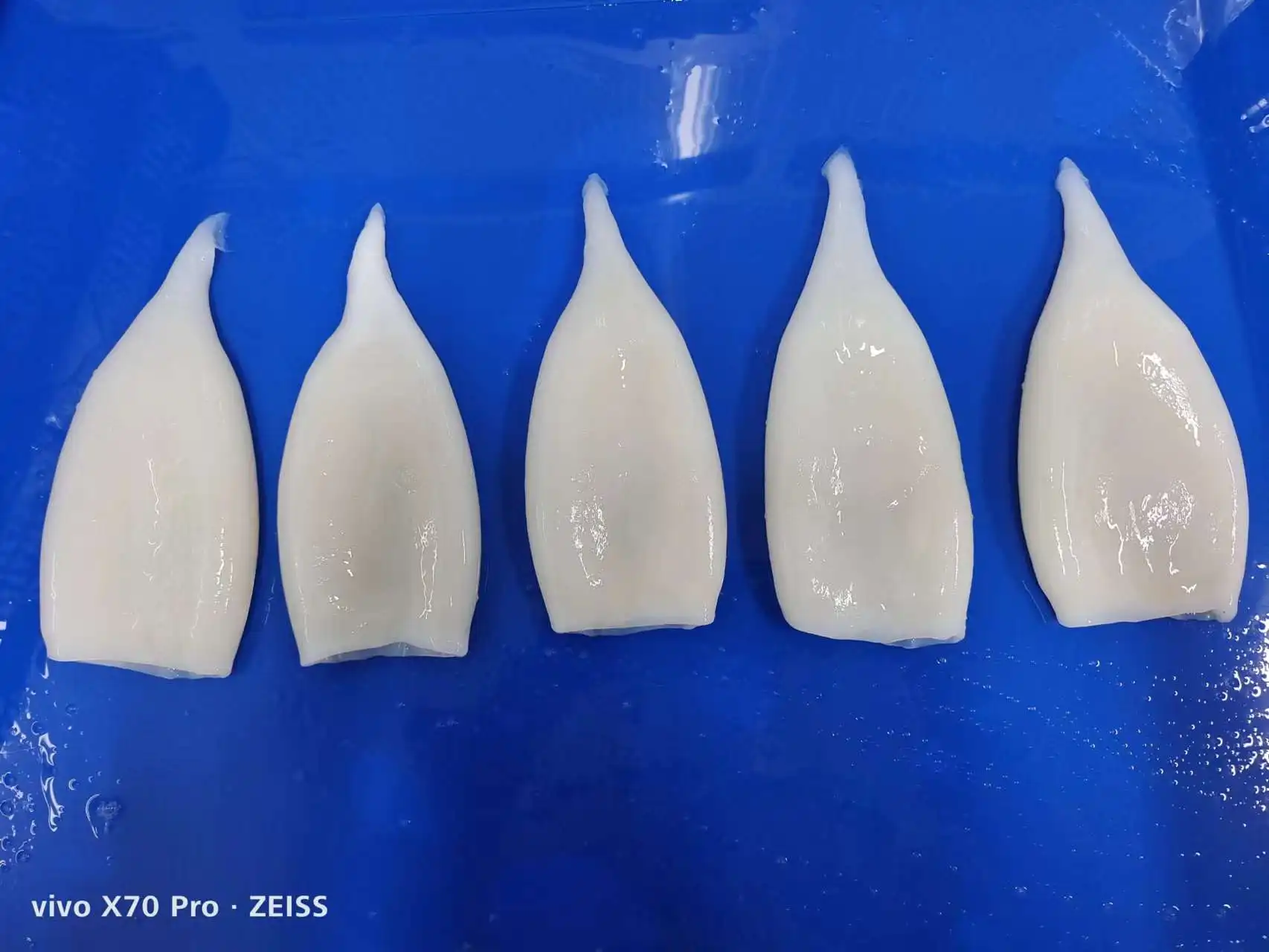 Frozen Gigas Squid Tube Head Off U3 U4 U5 Frozen Squid Tubes Egypt