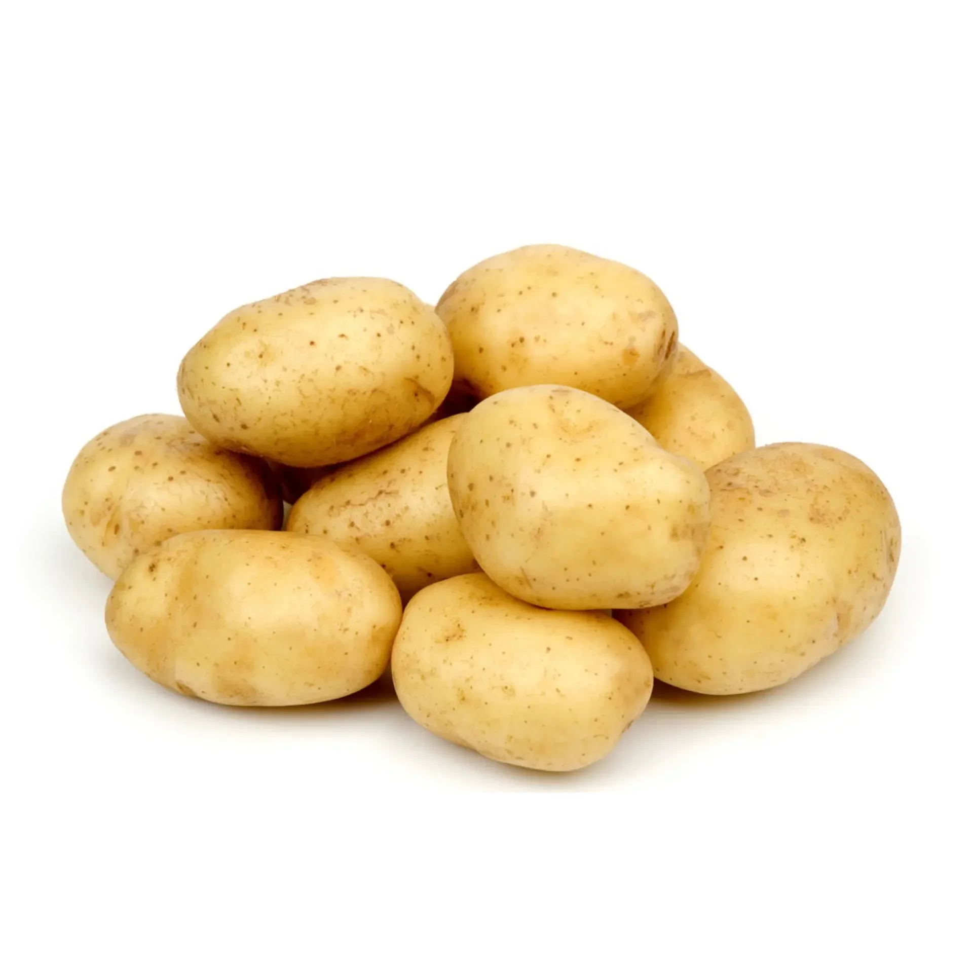 Comprehensive Nutrition french fries make machines chips potato fresh potatoes for sale