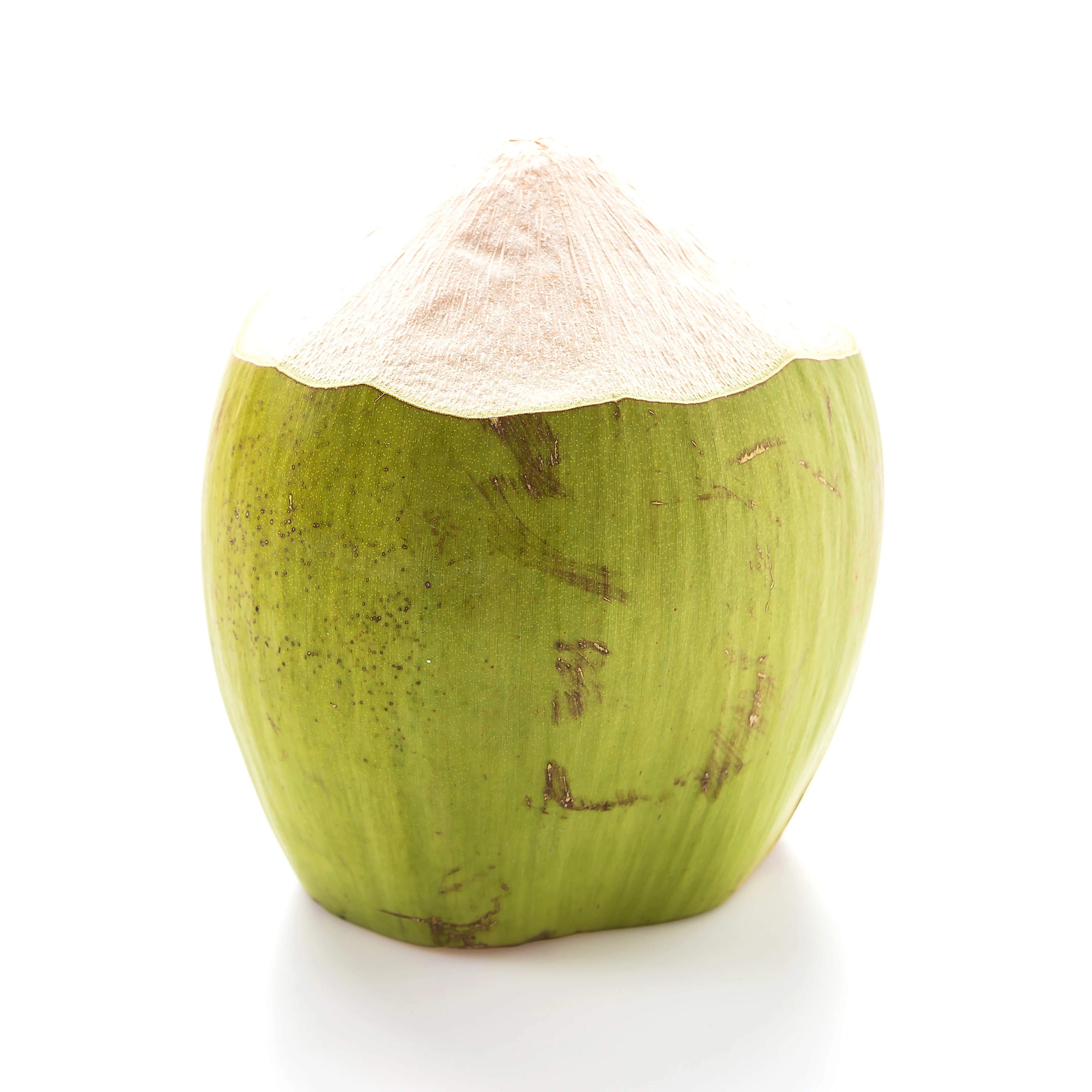 Свежий зеленый молодой кокос высшего качества по лучшей цене для оптовых