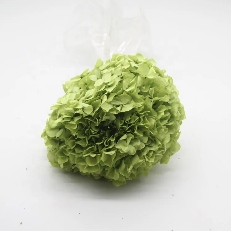 Factory wholesale big leave preserved hydrangea flower for wedding home decoration
