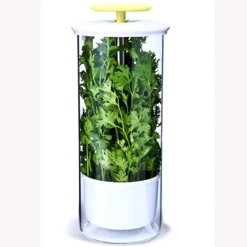High Quality Breathable Borosilicate Glass Herb Keeper