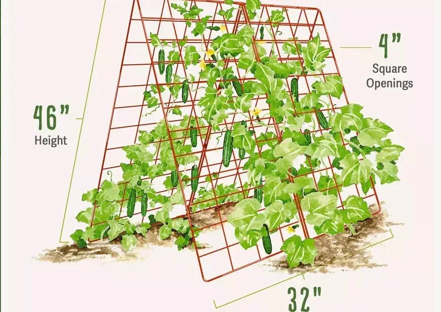 Large Cucumber Trellis metal  iron welded panels  A-Frame Garden plant Trellises