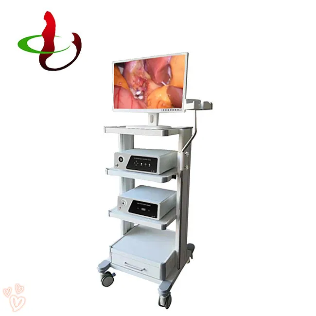 Digital Portable Flexible Electronic Endoscope Camera Wireless Video ENT Endoscope