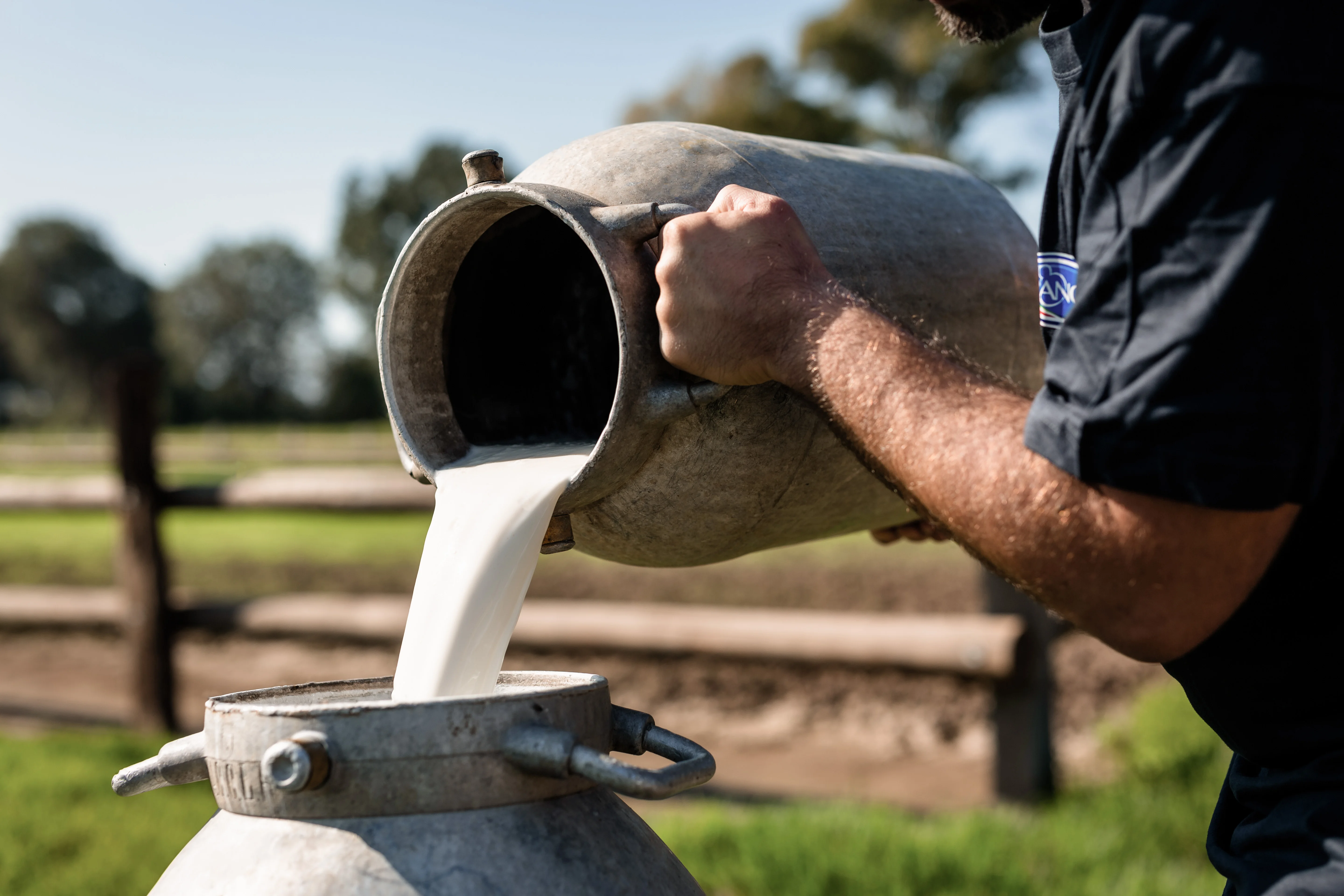 Premium Quality Francia Latticini Selected Ingredients Health And Tasty Mozzarella Fresh Cheese