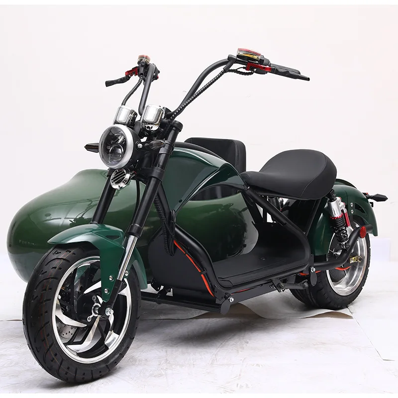 USA/Australia Warehouse Fat Tire Electric Tricycle Sidecar E-bike Carry Pets Three Wheel Pedal Assist 4000W Road Ebike Sidecar
