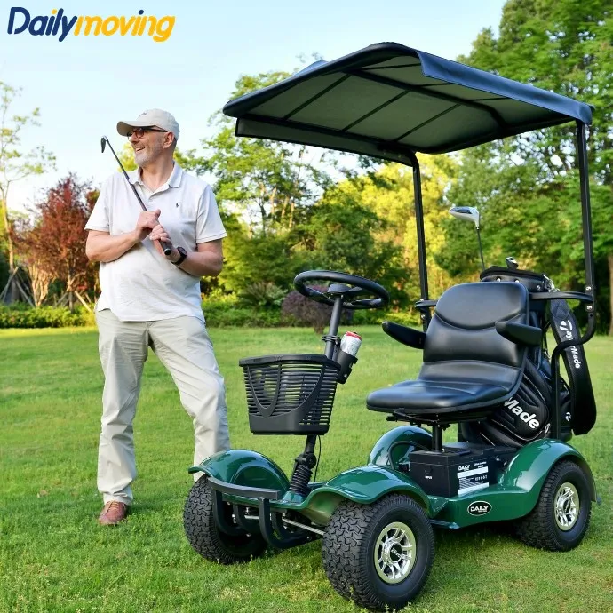 Single Seat CE Certified Electric Buggy Compact Portable with Electromagnetic Brake