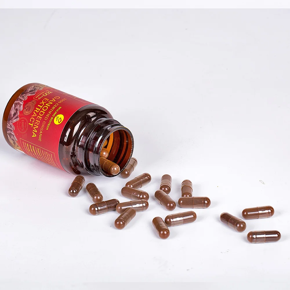 Hot Ganoderma Lucidum Plant Extract Capsule Relieves AllergiesShell Broken Lingzhi Red Reishi Spore Powder heathcare supplement