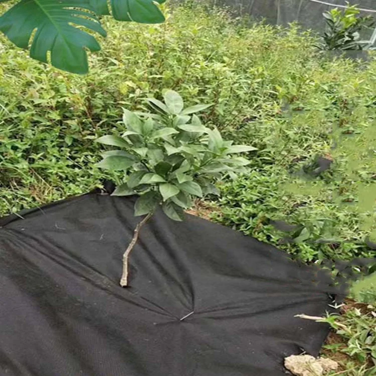 UV Agricultural Garden Black Eco Biodegradable Breathable Water Seepage Spunbond PP Material Non Woven Weed Control Mat Fabric