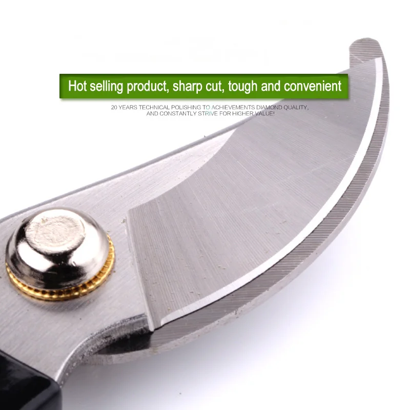 Wholesale Professional Branch Pruner Shears Professional Garden Pruning Tools Bypass Lawn Scissors Clippers Branch Pruner