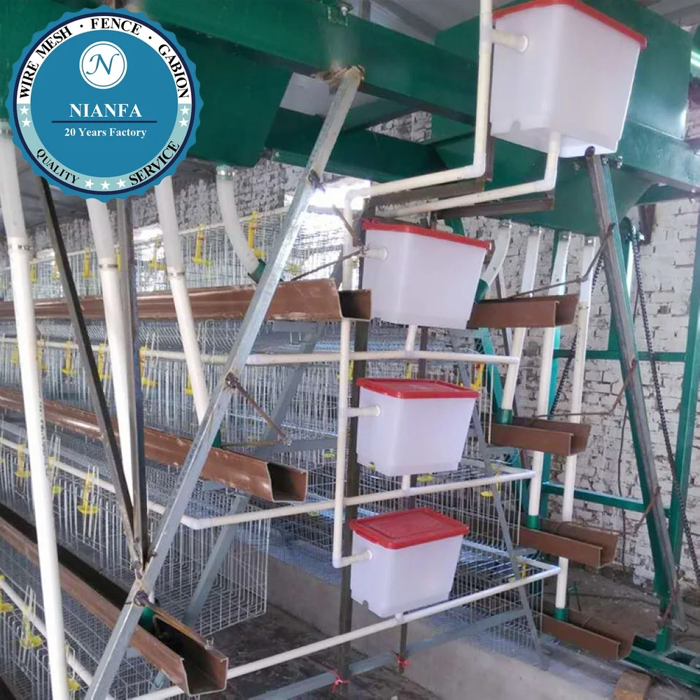 A Type 120 128 160 Birds Capacity Egg Layer Chicken Cage for South Africa Kenya