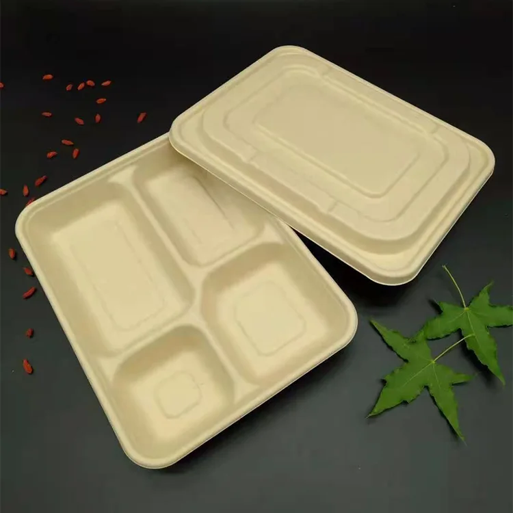 Food Grade Biodegradable Water Proof Sugarcane Bagasse Food Takeaway Container
