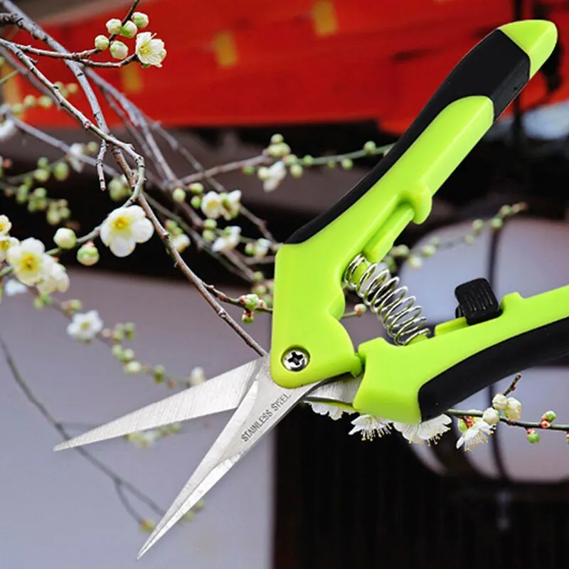 Wholesale TPR Handle Stainless Steel Blades Garden Pruner Fruit Trimming Grape Cutting Scissors