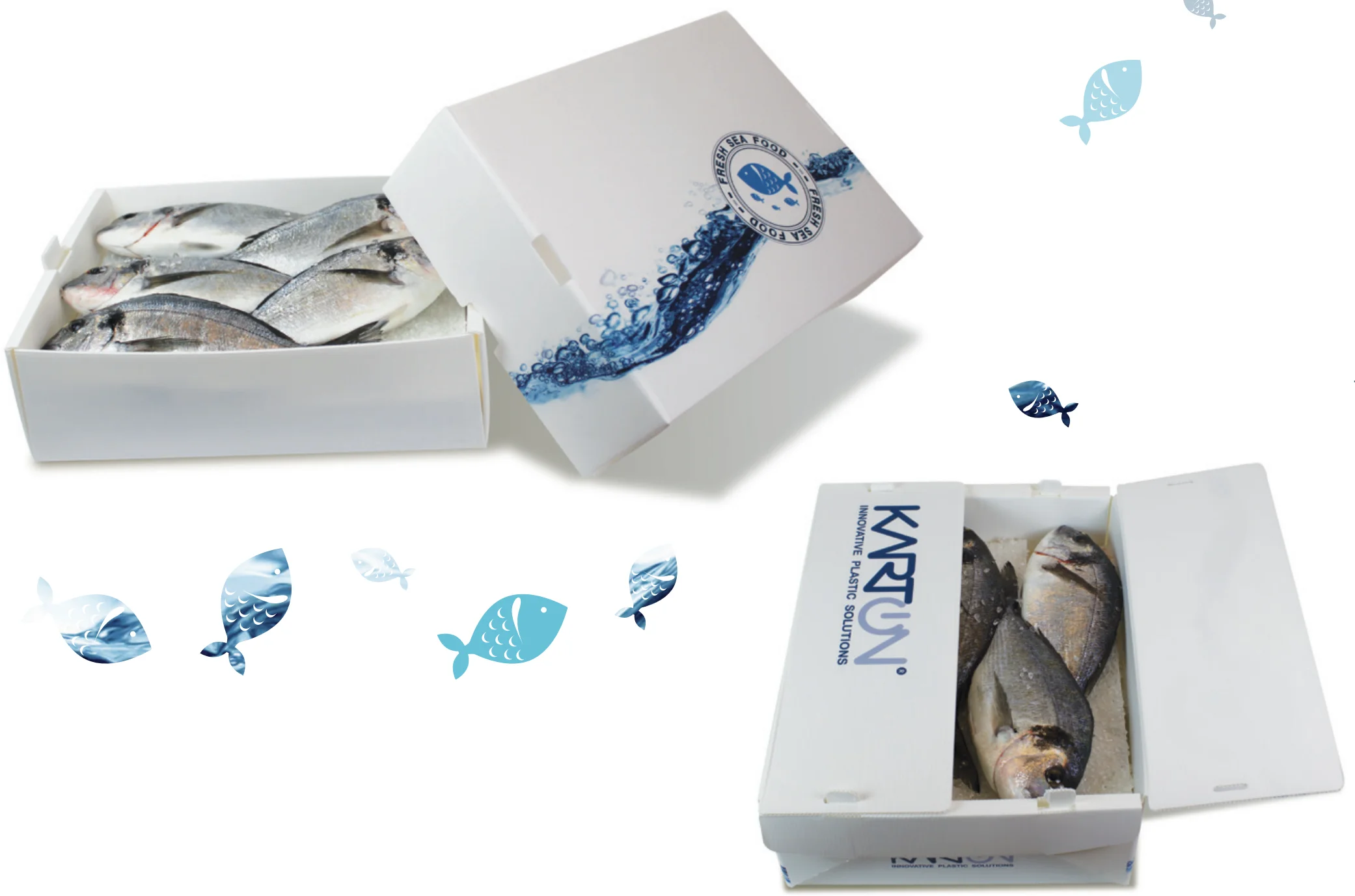 PP Hollow Sheet Frozen Fish Packing Boxes for Fish Seafood