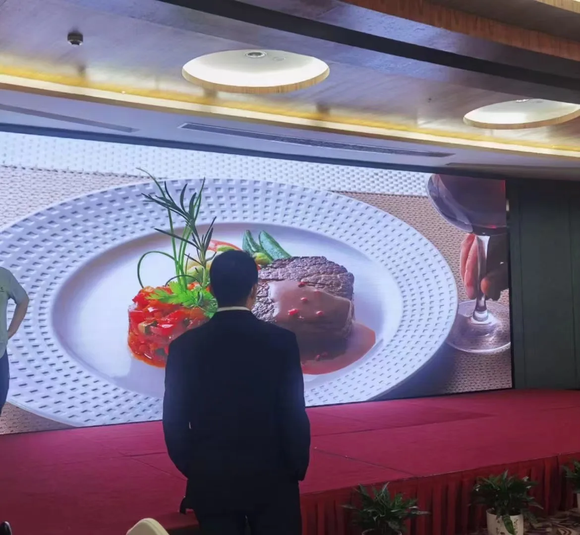 PrivaLED Full color Indoor Module Video Display Modules 160*320 SMD GOB P2 P2.5 Led Screen Module