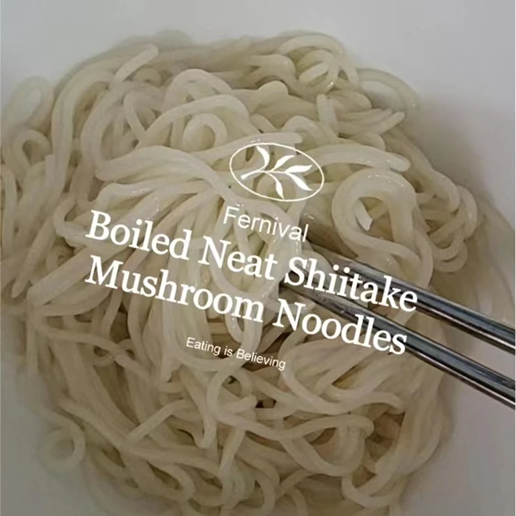 High Quality Food Fresh Hot Selling 0 Calorie Shiitake Mushroom Noodles Hot Noodle with Traditional Light Soup