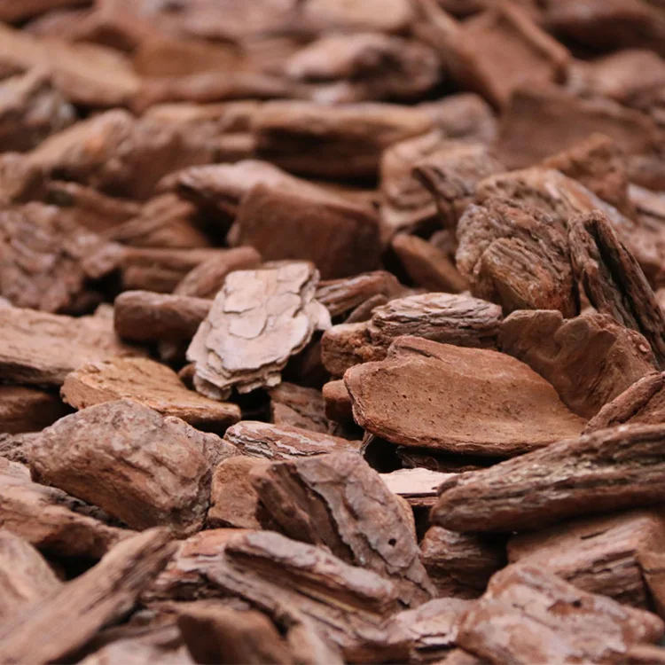 Yuncheng Garden Nutrient Plant Organic Soil Ferment landscape Succulent Cultivation Medium Pine Bark