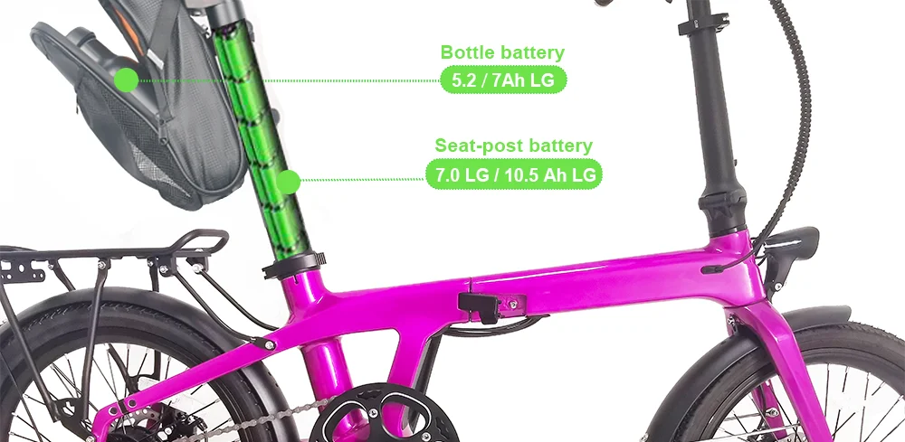Anlochi 20inch Folding Carbon Fiber Electric Bike 36V mini 250W Carbon E Bike for adult
