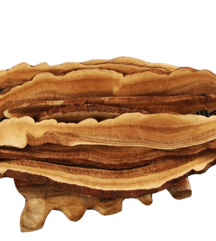 Pure premium quality shredded mushrooms raw chopped ganoderma slices