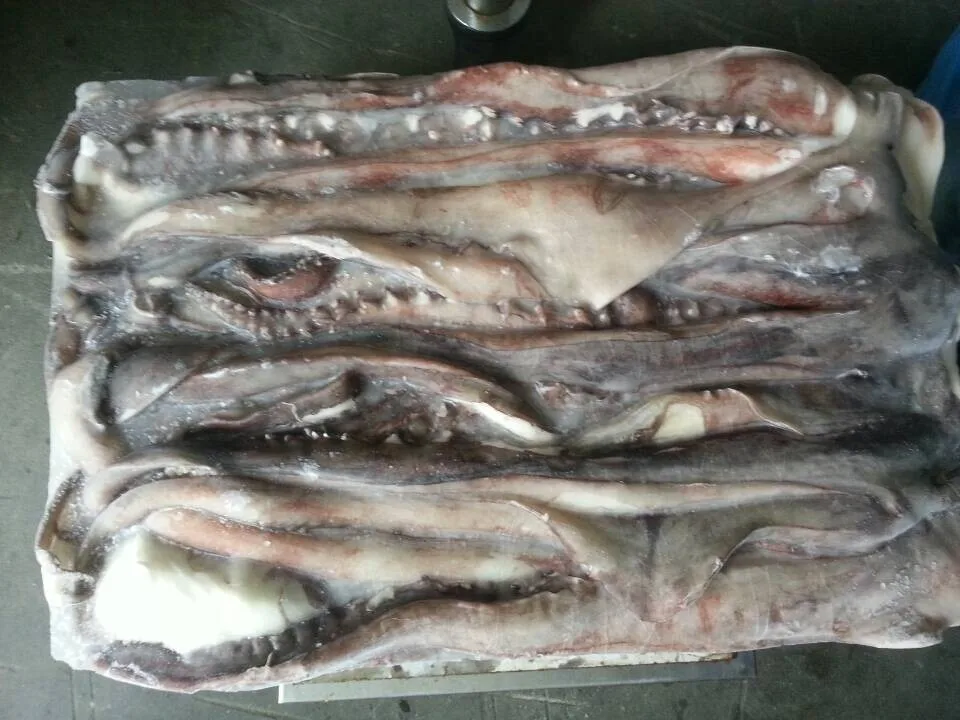 Peru Origin Factory price Export Thailand Frozen Giant Squid Tentacles