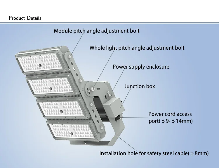 LED Flood Light 
