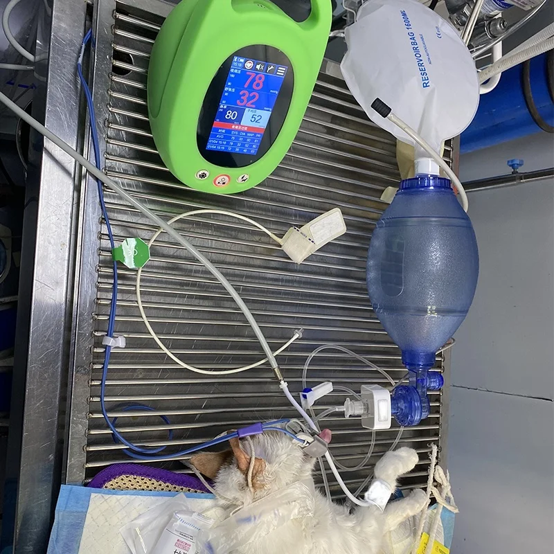 Ветеринарный прибор цифровой баоманометр для измерения артериального давления собак