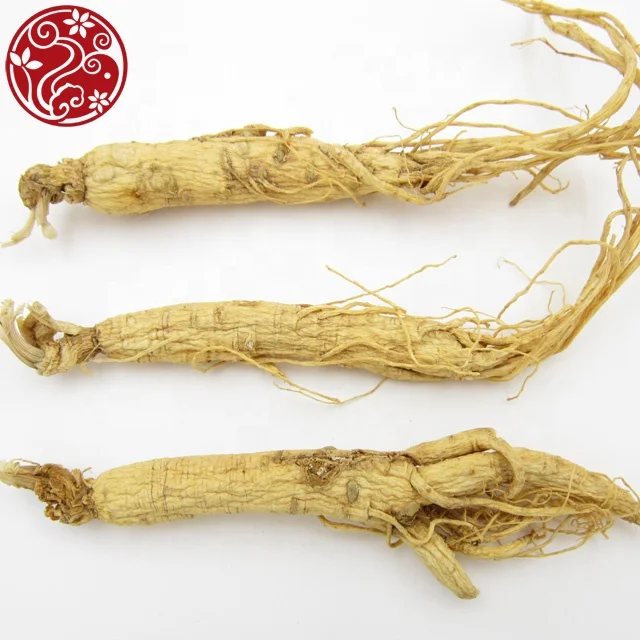 professional manufacture ginseng root Ren Shen