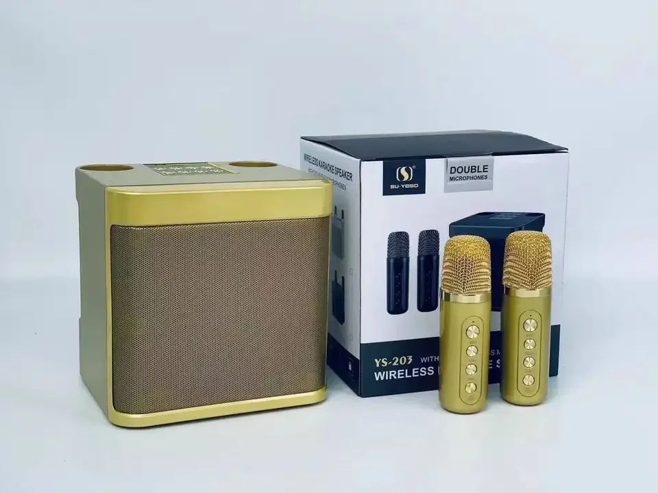 Оптовая продажа сабвуфер 10 Вт динамик с двойными микрофонами для домашней вечеринки портативный беспроводной караоке-динамик улицы и