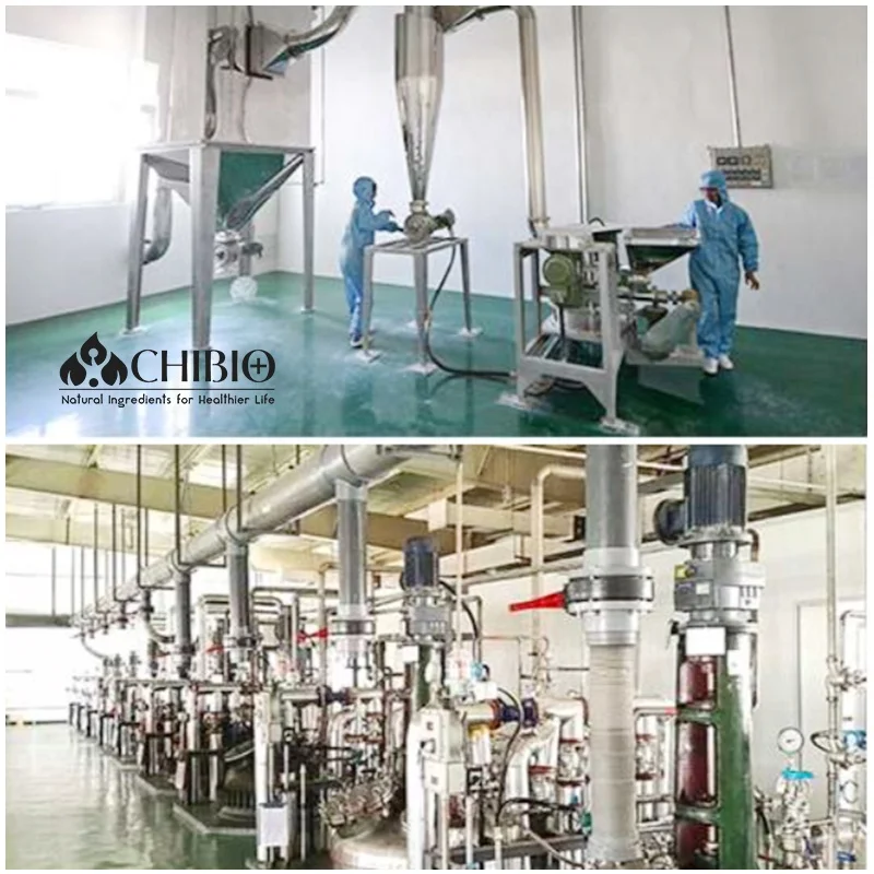 10-80 200-300 mPa.s ISO Kosher Water Soluble Mushroom Carboxymethyl Chitosan for Wound Care Healing Hemostatic Cosmetics Pharma