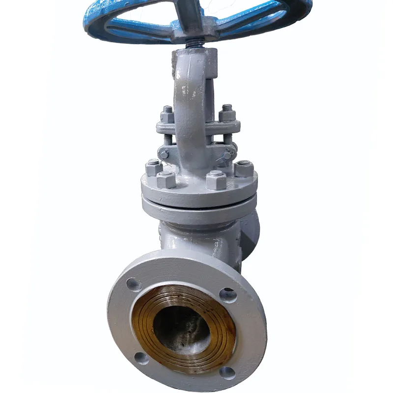 DN65 WCB Through way flange connection GB Globe valve