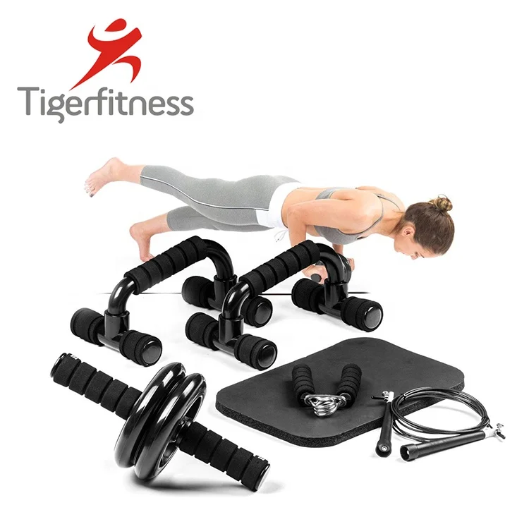 Dual Ab wheel Roller With Thick Knee Pad Mat And Foam Handles