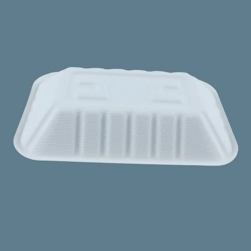 Portable 100% Biodegradable China Food Trays Nature Color No Plastic Sugarcane Pulp Tray Total Green