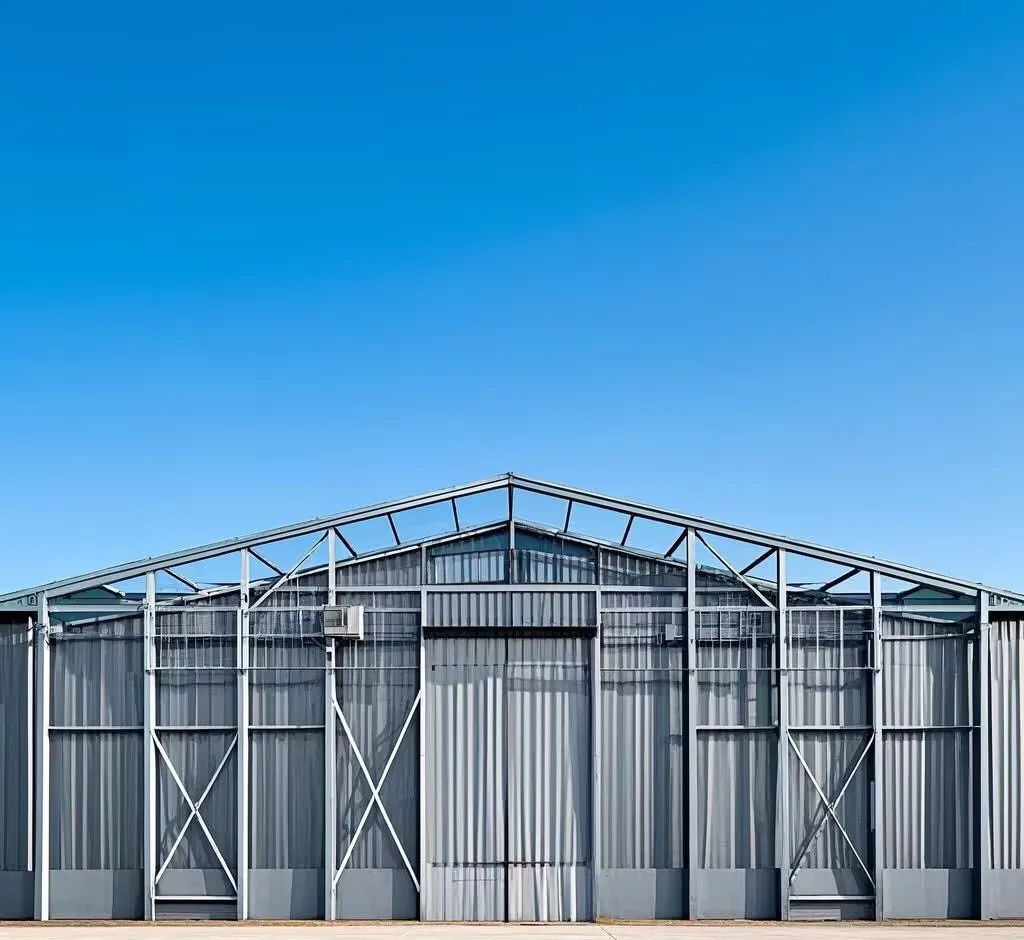 Modern Design Prefabricated  Logistics Warehouse Workshop Light Commercial Industrial Building Warehouse steel structure