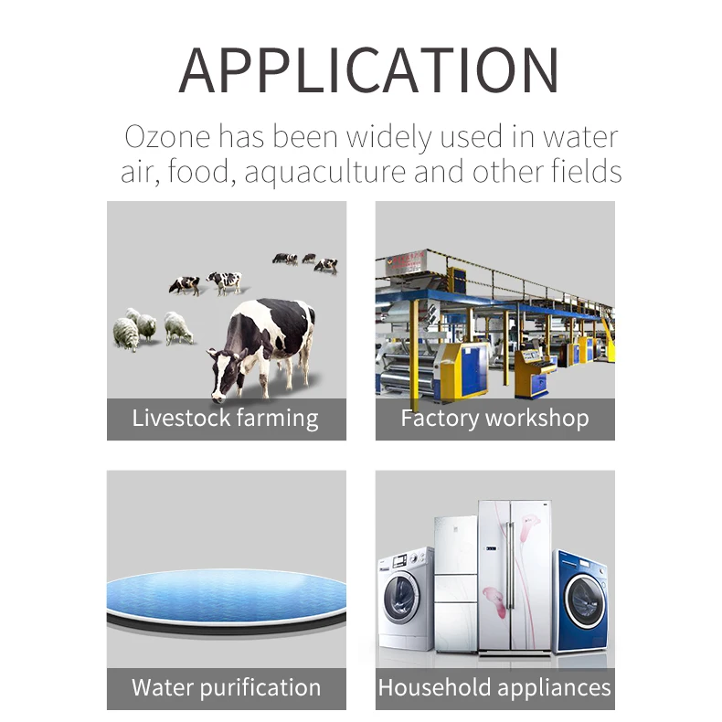 Hot Selling water treatment  ozone generator for washing machines home appliances