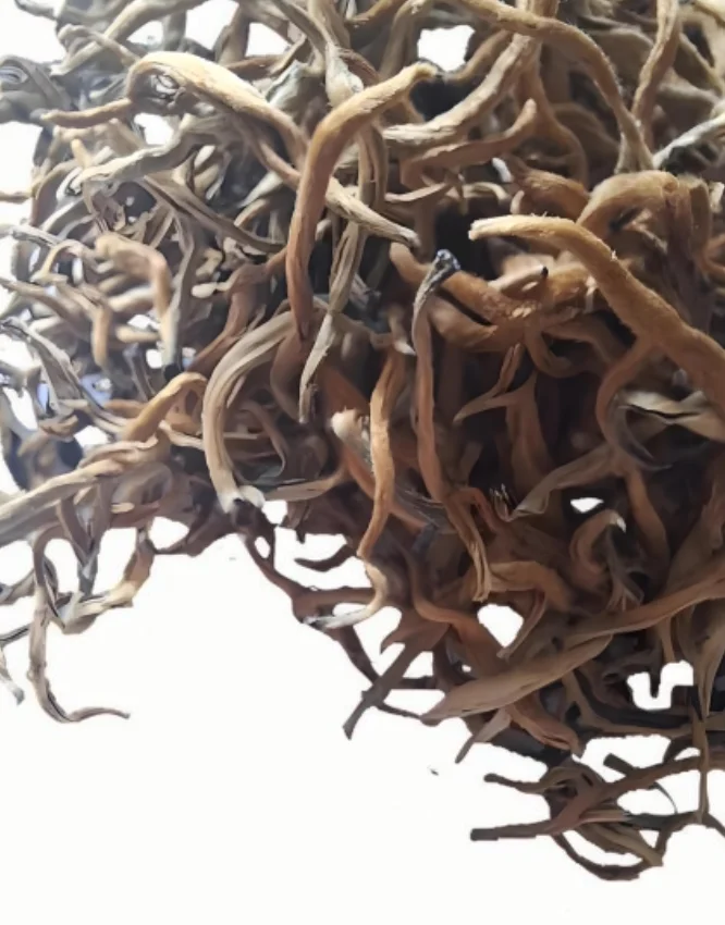 worth buying real High-Quality organic  Chinese Tea Wholesale Price Ecological Golden silk Black Tea healthy tea