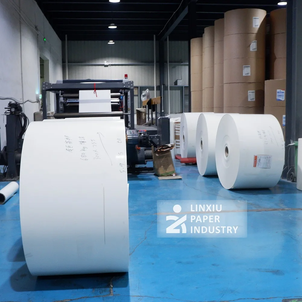 reliable manufacturer paper cup blank for printing machine white paper roll for cups