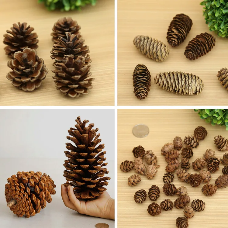  Thanksgiving Mini Brown Christmas Natural Pine Cones Ornaments in Bulk for Home Decoration