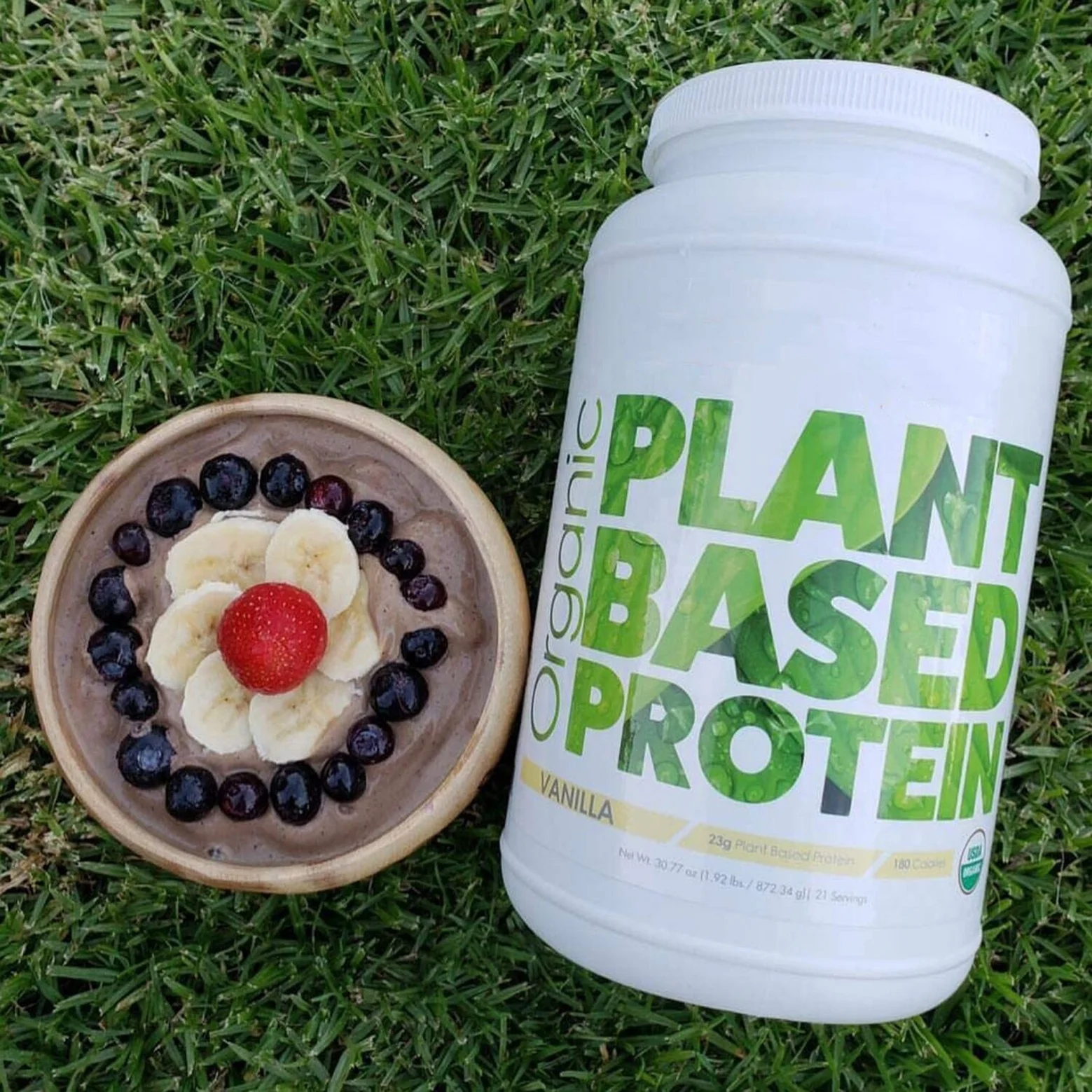 Private Label for Muscle Building Plant Based Organic Vegan Bean Pea  Protein Powder