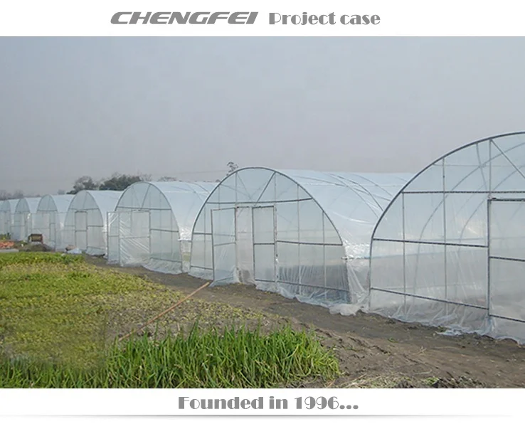 Commercial single-span agricultural tunnel plastic film vegetable tomato greenhouses supplier