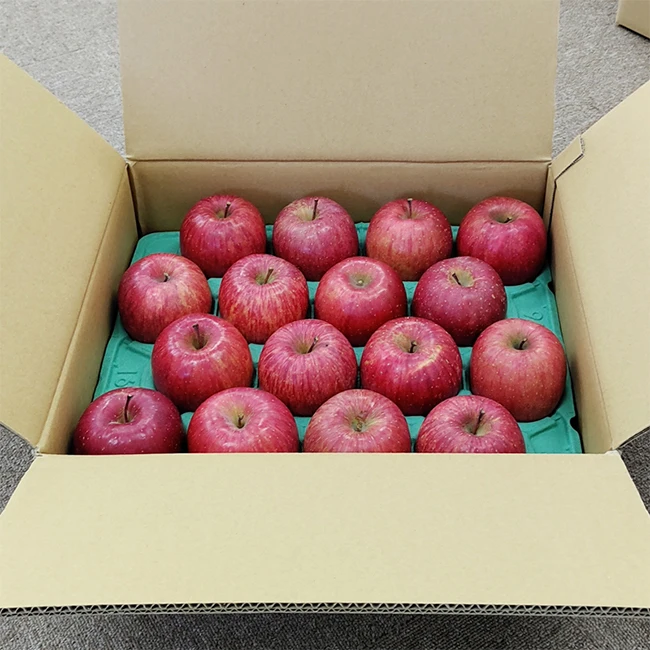 Fruit product supplier delicious fresh red Sun Fuji Apples from Japan