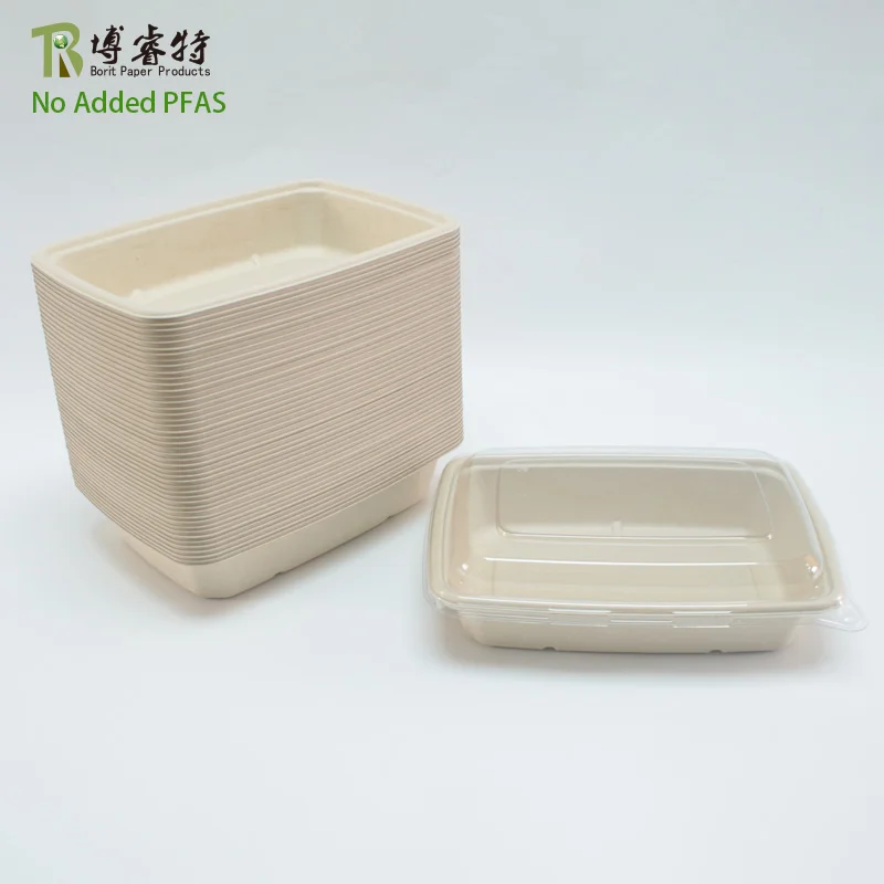 No Added Pfas Biodegradable Disposable Sugarcane Salad Bowl Takeaway Rectangle Bagasse Pulp Food Containers With Lids