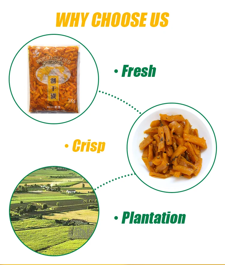 Korean Kimchi Delicious snack food export barrels of Korean kimchi radish pickled korean