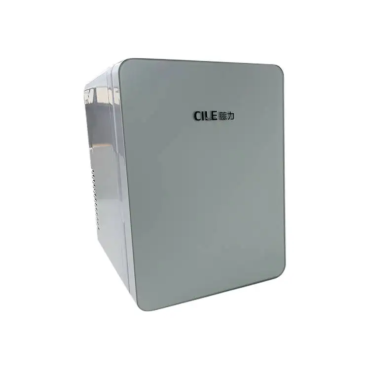 Мини-холодильник, 6 литров, портативный автомобильный косметический компрессор, мини-холодильники для дома