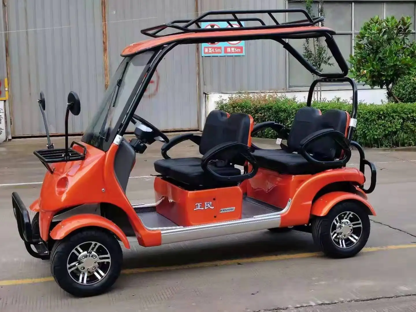 adult electric vehicle new energy car