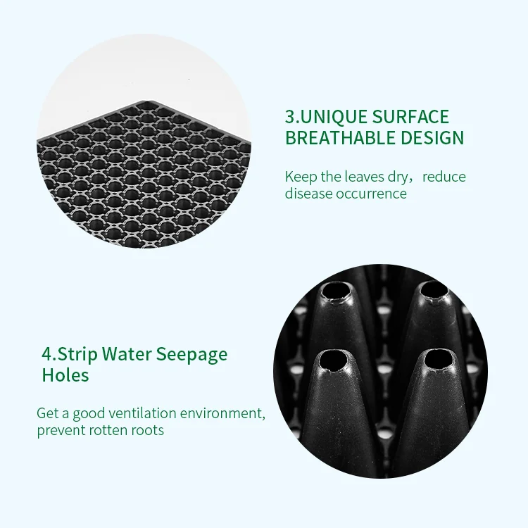 
Transplanter Biodegradable 128 Cells Plastic Seedling Germination rice Seed Tray 