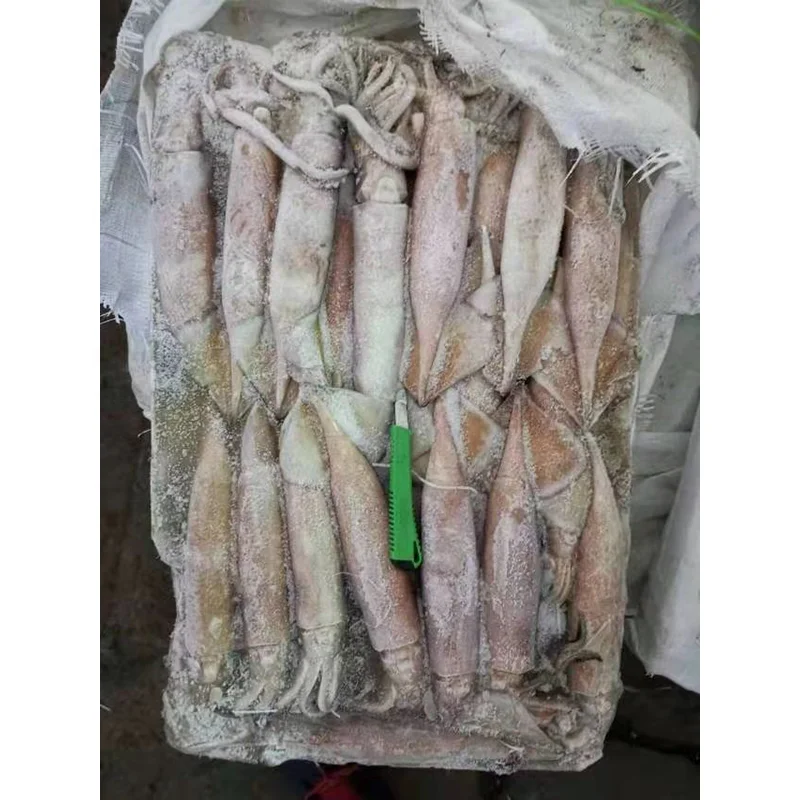hot sale seafood Frozen Todarodes pacificus