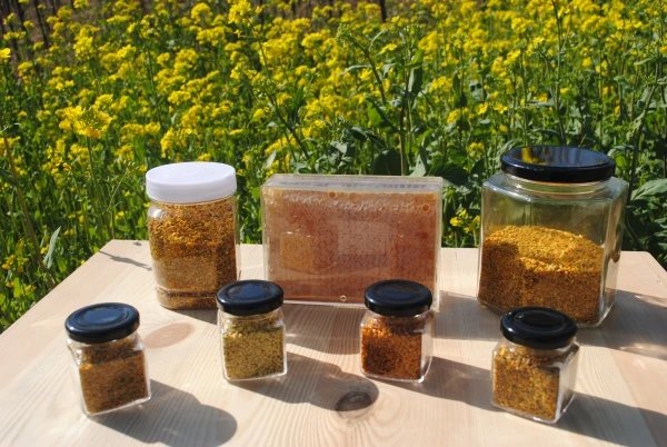 
Fresh Natural Bee Pollen bulk fresh rape bee pollen from beekeeping supplies factory natural bee pollen 
