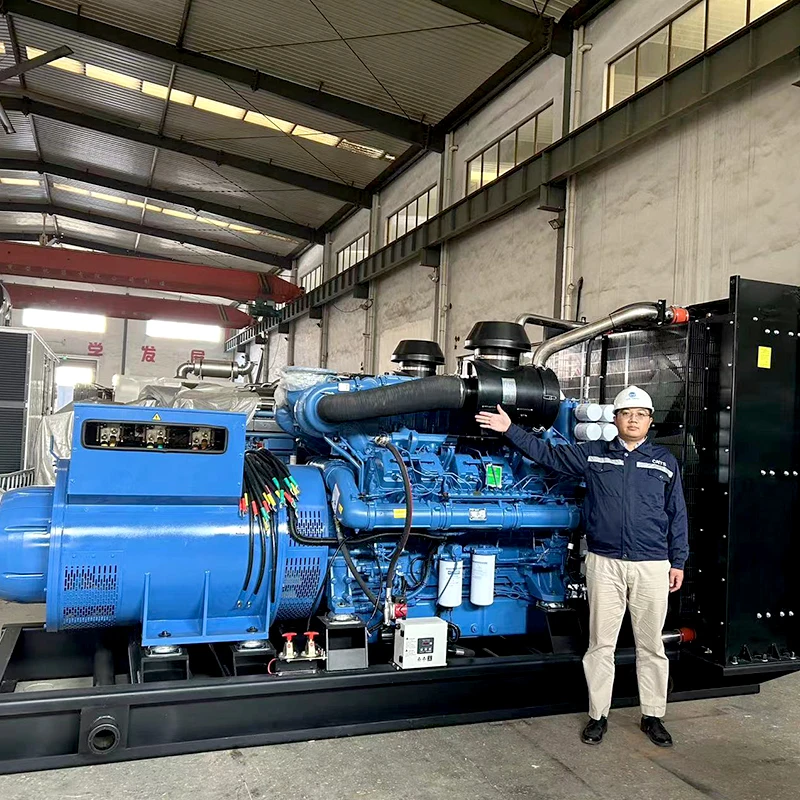 200kw diesel generator 50Hz 60Hz 250kva 500kva 800kva Cummins Perkins generator soundproof type 250kva Doosan genset