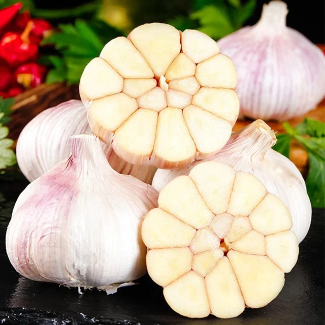 New Crop Fresh Garlic In Good Quality Fresh Normal White Garlic In Low Price From China