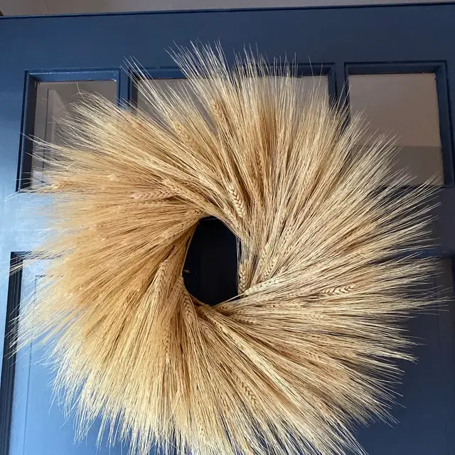 Wedding Centerpieces Decorative Natural Dry Wheat Bunches Grass Stalks Decor Sheaves Dried Wheat Flowers