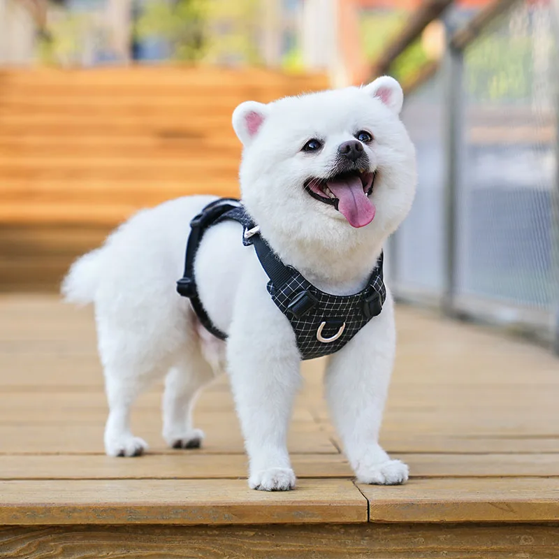 Wholesale Velvet Global Digitalization Export Platform: Product Release Dog Harness